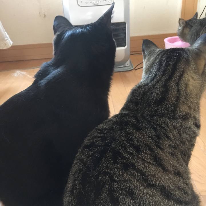 532982e0 0f83 401b a57a 9b9d5b641ab5 1513986404068