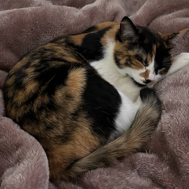 5329a315 a03e 4b22 9f65 13d6c2e5af7f 1770788344832