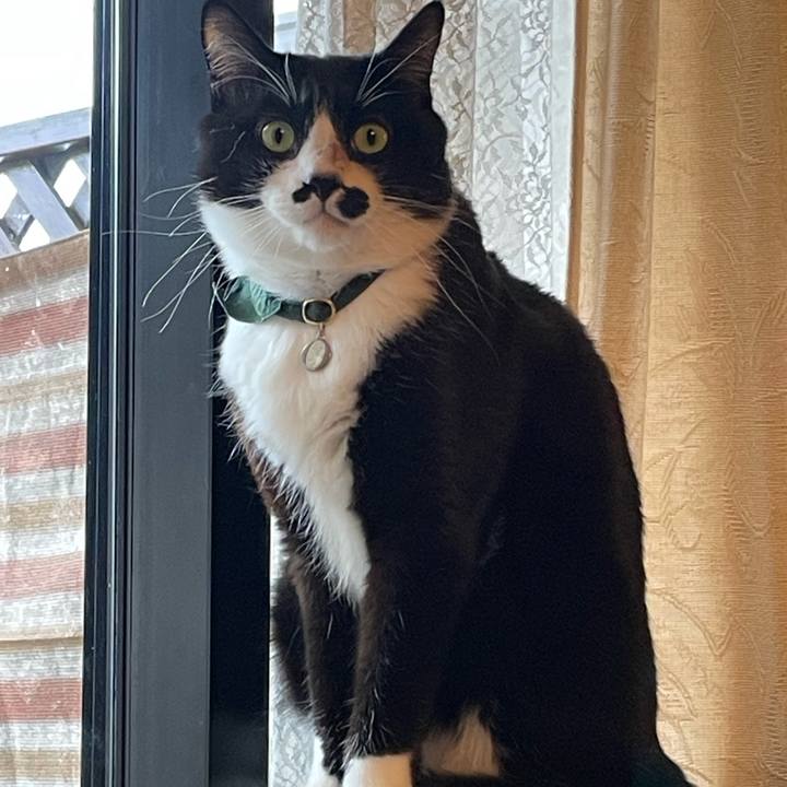 5329c20e 7847 44de b485 595f056f0cbd 1742085253668