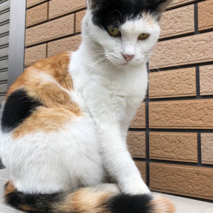 5329ce6a 1343 4c87 b62a e84b0ca88ac5 1601767230084