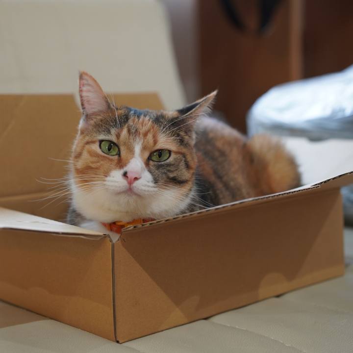 5329eb1c 3085 4352 bd73 6b64b68cd5eb 1630844315332