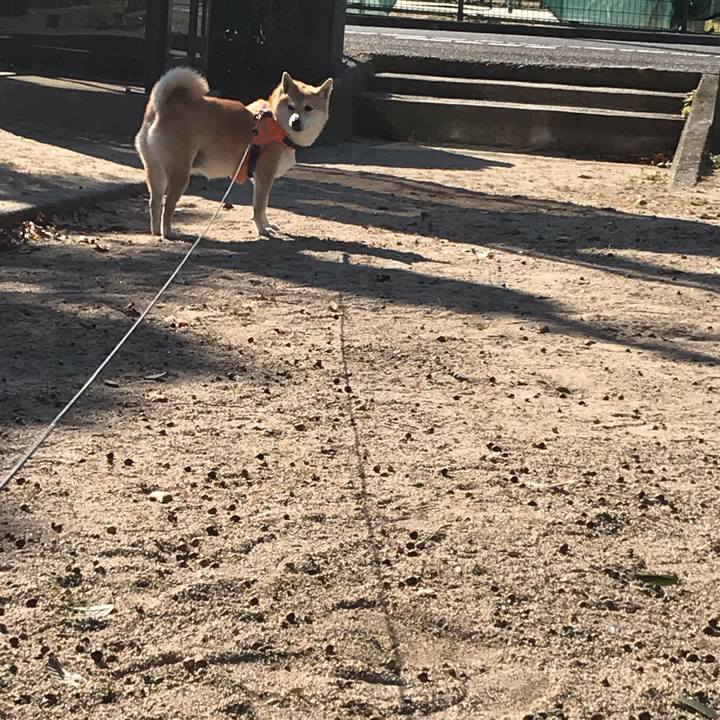 5329fb7e 8cf4 42e6 b523 10900b7849dc 1542715569105