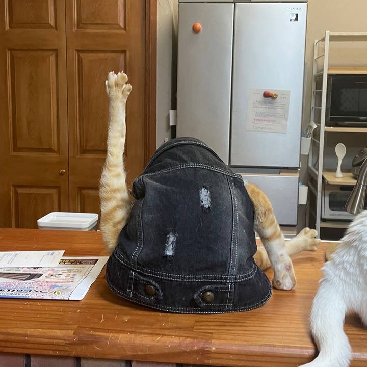 5329fd2f d977 4d4d 9181 08aa9168dda1 1649853316000