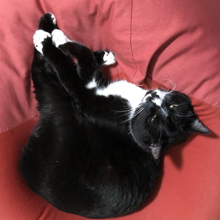 532a00a8 2464 4415 8bf3 99217388bcde 1649215309773