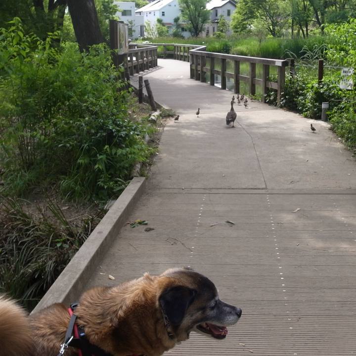 532a04db a483 465f 9e26 2661053ff0d8 1608510434562