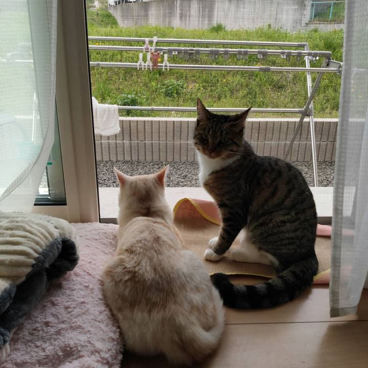 532a0e34 9fa0 4f84 9635 8549b21d47f6 1650923200341