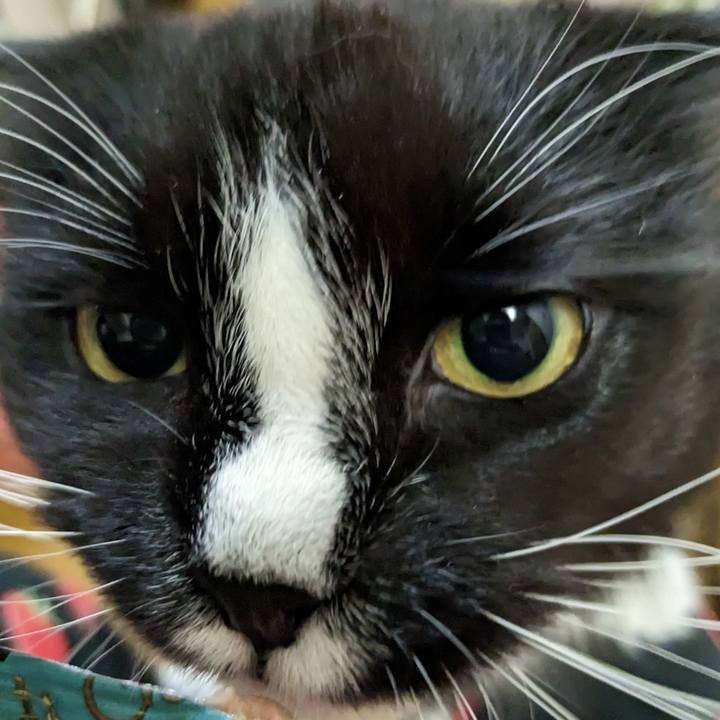 532a74ee 6157 4007 841d fa1320e513a0 1676384014974