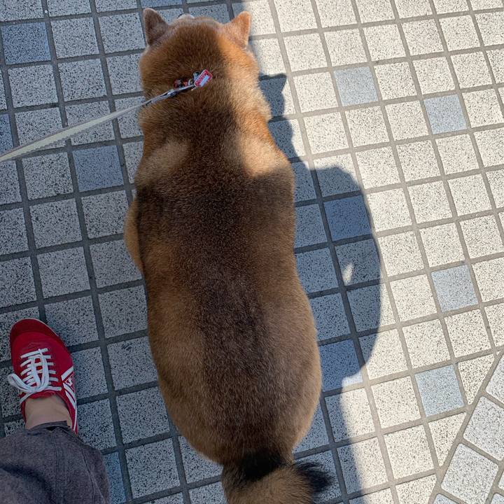 532a8deb 52d6 47ea a182 900d0c93a481 1589679326551