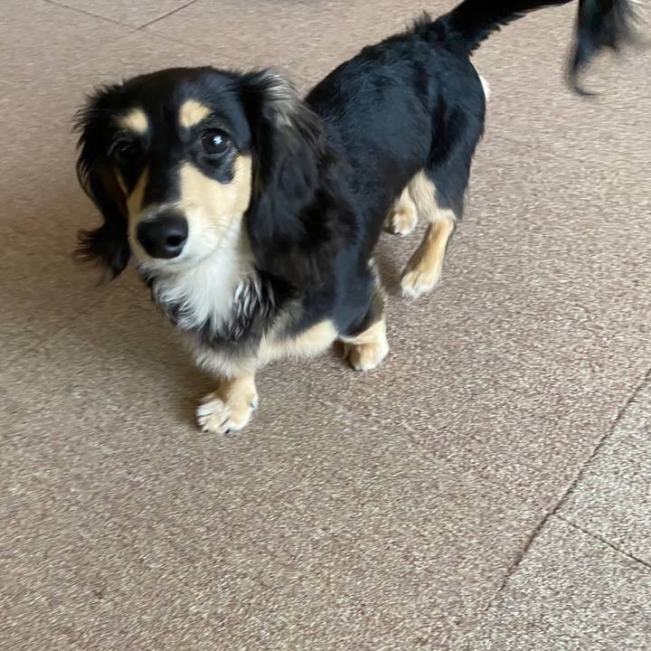 532a9842 ea40 492d 89e7 67891b80a7ec 1677304667646