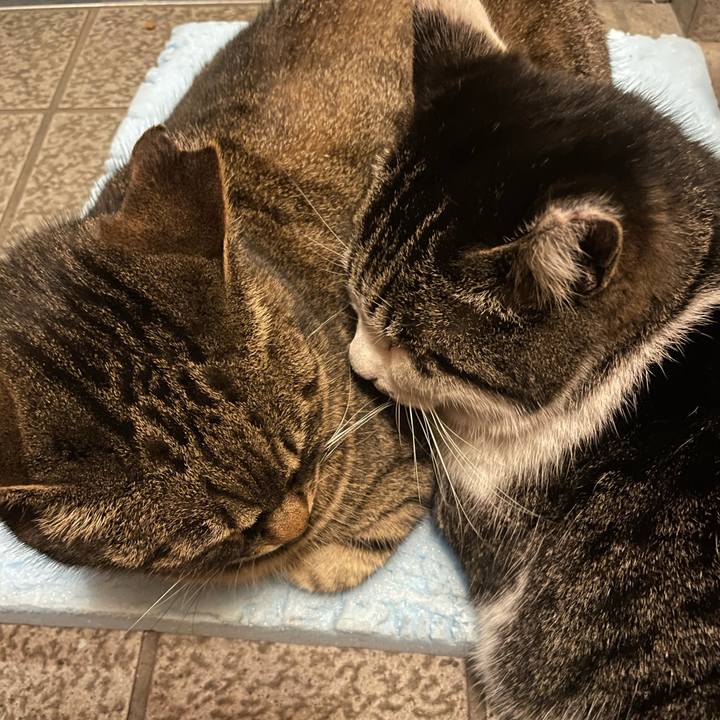 532abd4c 09b6 4077 a695 83ed66d8af36 1612437129379