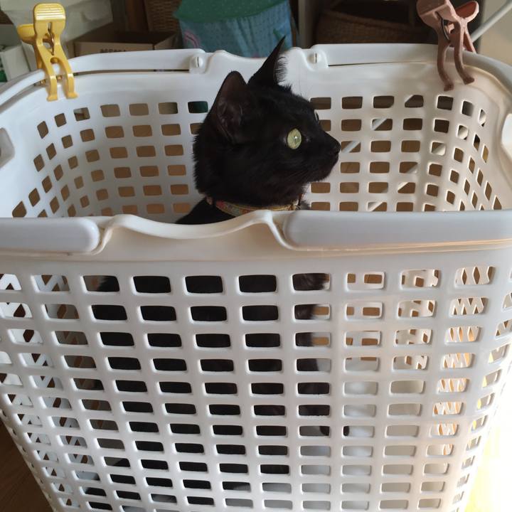 532b31ef 5e78 4d0c 9eae c30e2d49a056 1543541065844