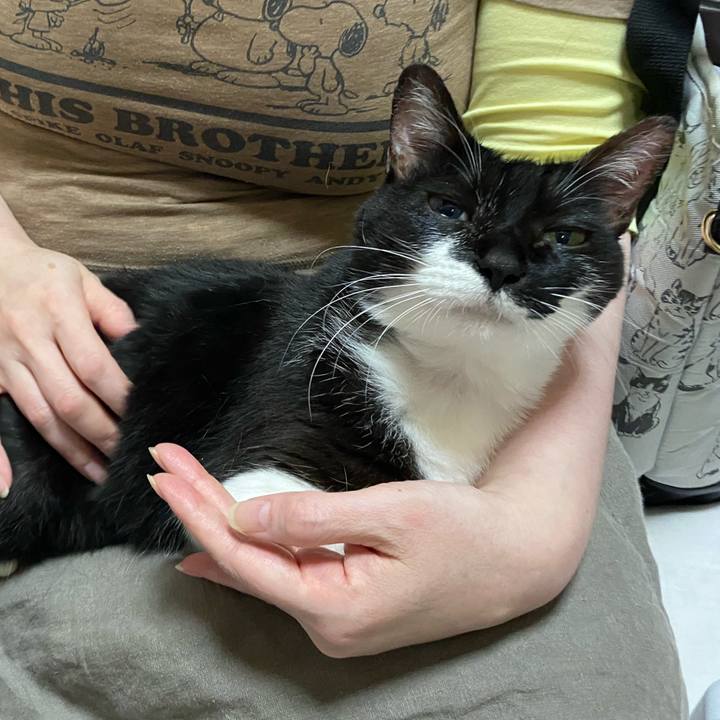 532b7dc9 665e 49aa a2eb 5cfe6cb2223c 1602330885282