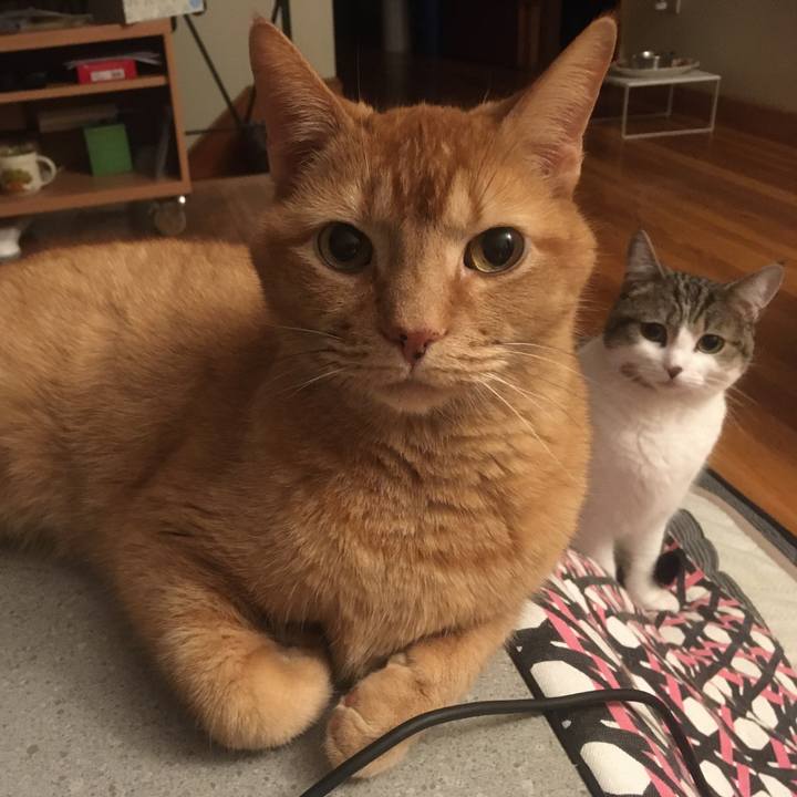 532b9a83 170e 426d ba52 dfb9e4436b04 1633394183085