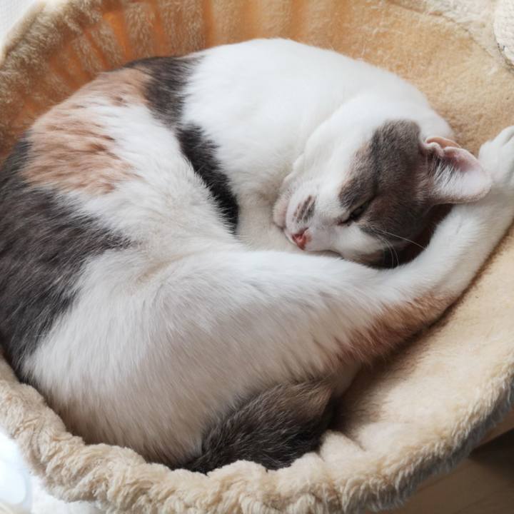 532ba726 699e 4bb3 96f1 99e334758a7e 1609835780260