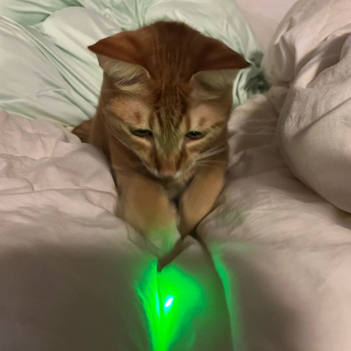 532c1267 606c 428d b7d2 0663628c9924 1643623531343