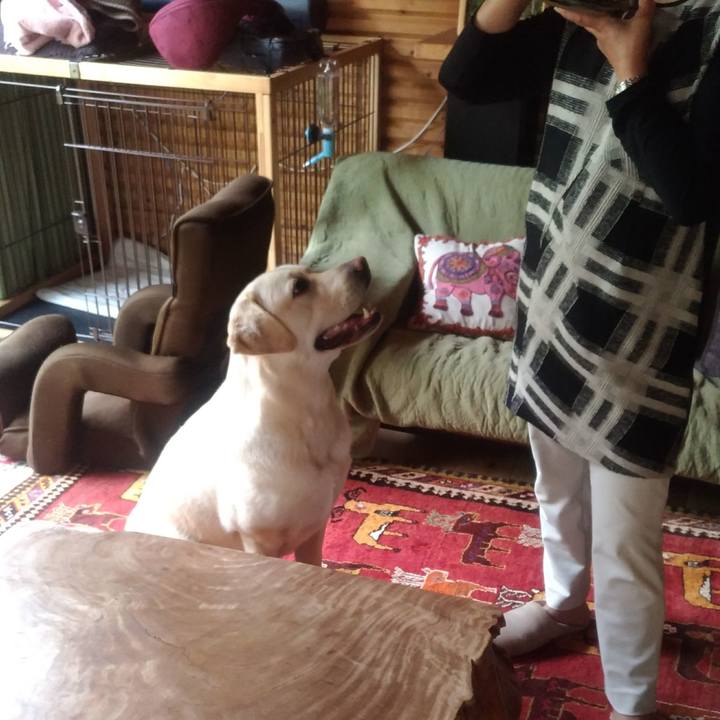 532ca59c ccc5 4cb0 bf55 7d7c52931f9f 1522995539429