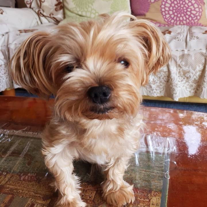 532ca9ab 7d60 43fb ad80 76b8282d2ec2 1535880021117