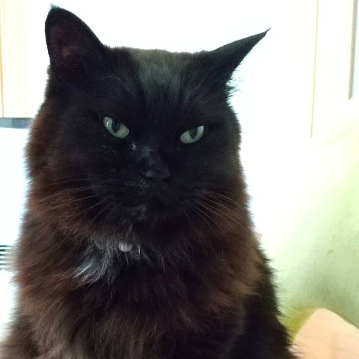 532cb5d1 07c5 4caa a143 f7e0e4766edf 1614900633768