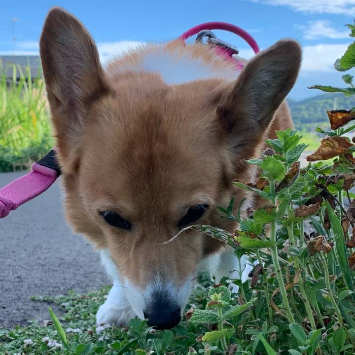 532cdd6e 91f0 4574 a996 2c2d1335d7c5 1723418631334