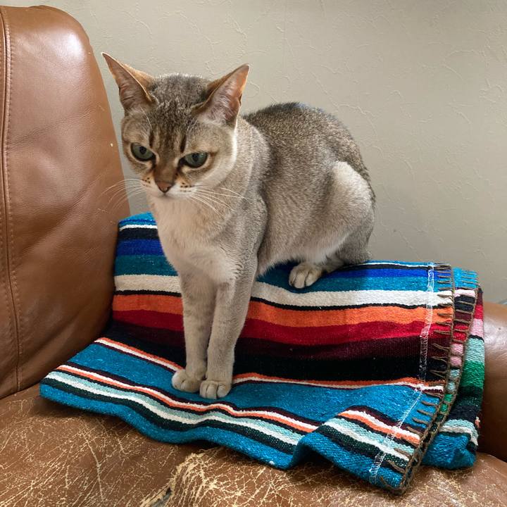 532d4185 00c5 42c3 9cf9 c6fcda49d45f 1716076338505