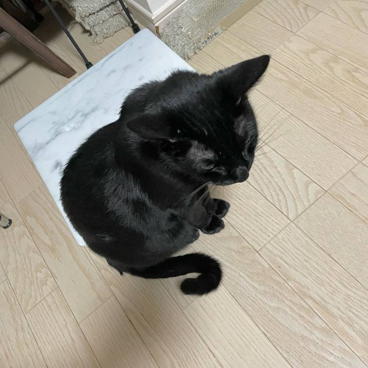 532d474e 4829 4fd8 a069 62c79d9282e3 1694092183456