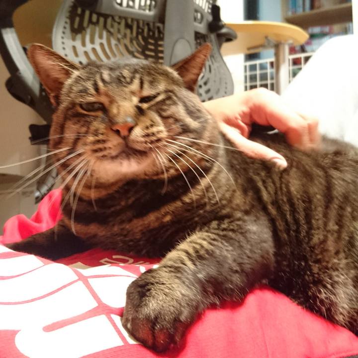 532d81ea e739 4799 9506 96a4096a4a14 1541503621006