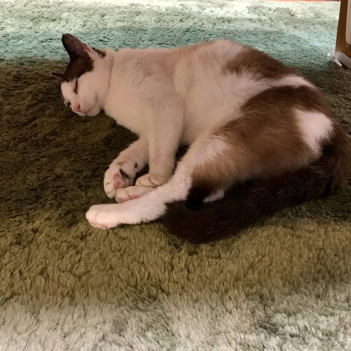 532dc433 1c09 4ecb a56b c6e6a8190fae 1623568398887