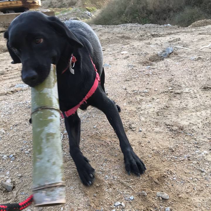 532de4f5 0592 47a0 8524 718f70008898 1540712047460