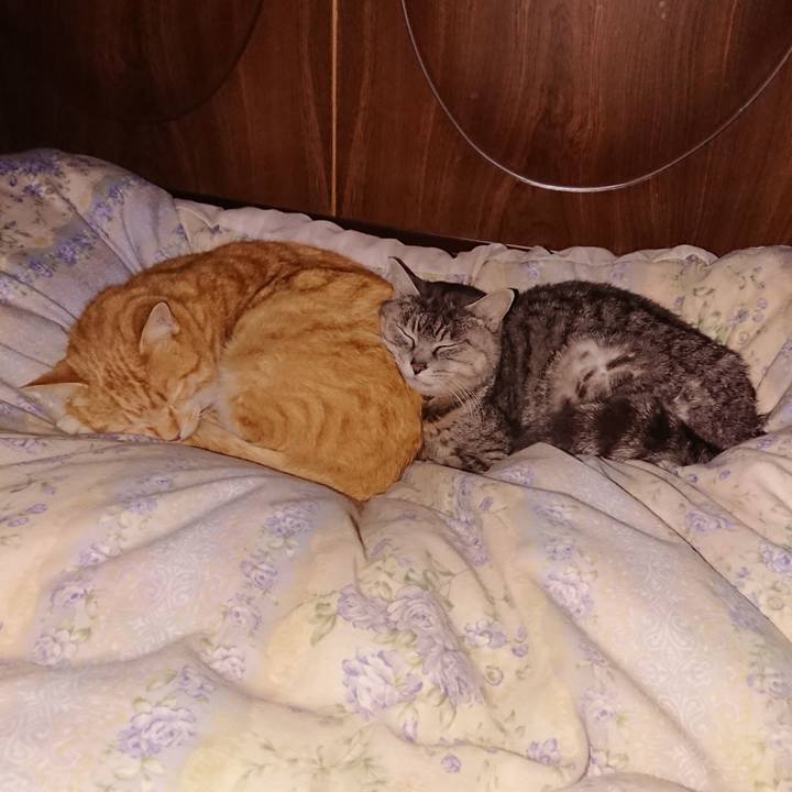 532de9aa 45c8 44f3 b614 4c5bb4f5e1d8 1583426500766