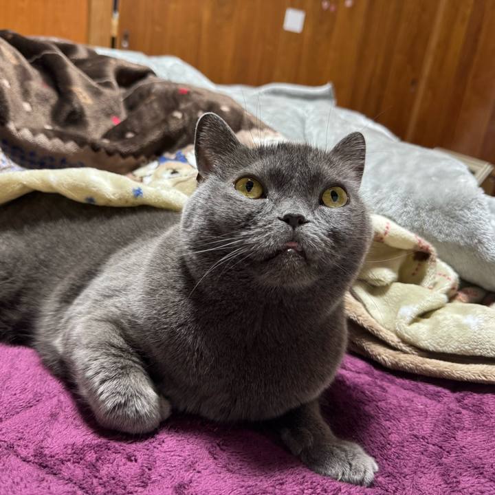 532e0f18 cff9 4005 9cfe b2cf1070c032 1764538656712