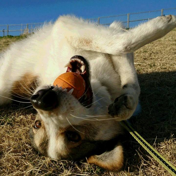 532e3a91 c45d 4bbb ab08 b5b0230623b2 1552551479801