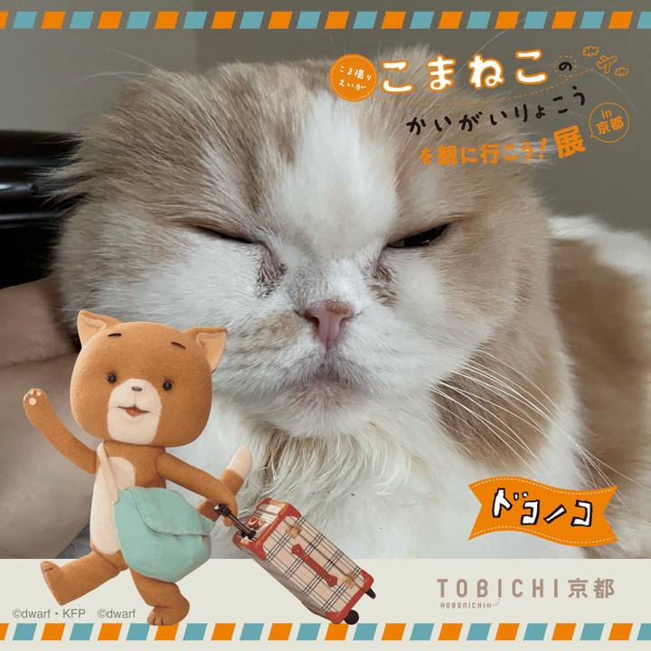 532e4bea c3b0 4ce6 a937 97dbb62124c4 1740433030991