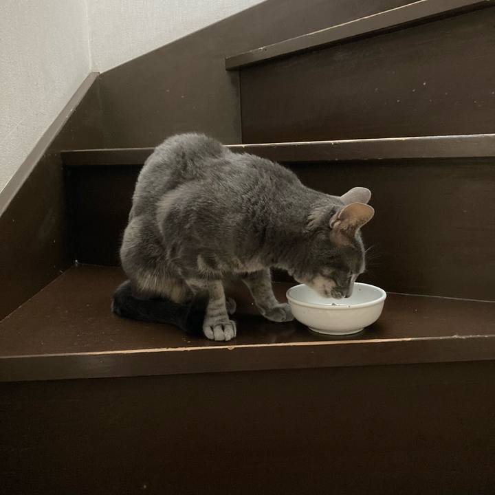 532e8286 a297 4404 b46f 540a27a4a628 1651544905128