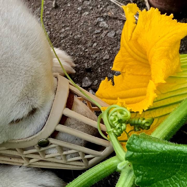 532e9966 6053 435d 9a76 49ab0d689100 1566942578207