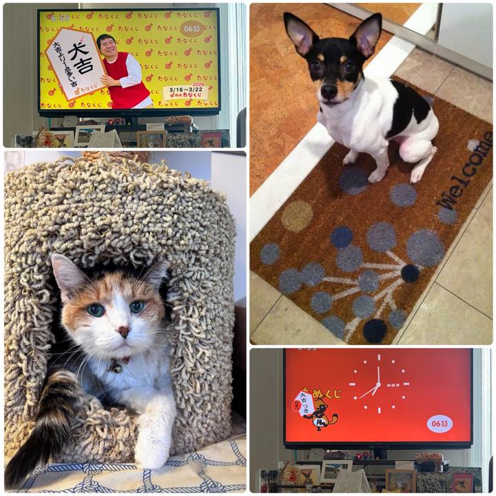 532ecf1c a53a 4b65 83e0 9ed319839db7 1773613095746