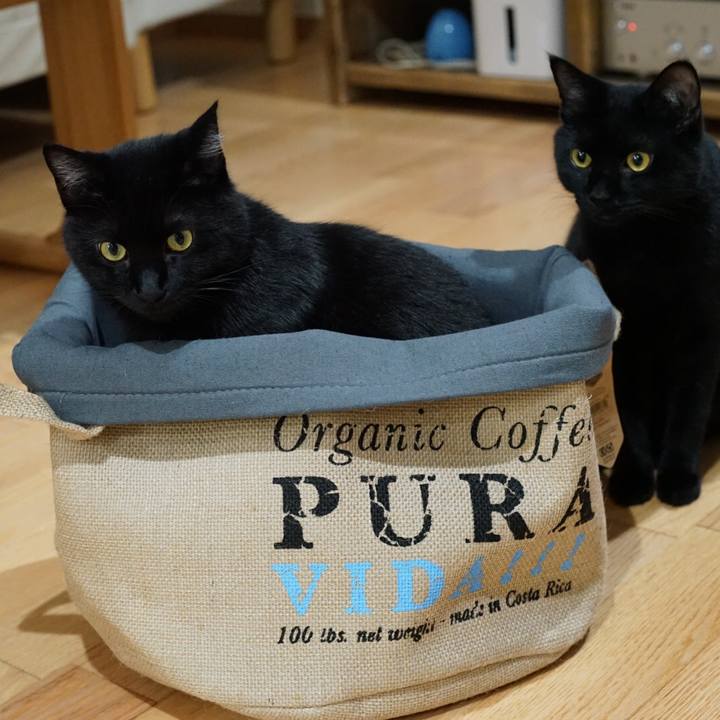 532ee366 6fc0 4569 a2f1 86bfca5eb7b0 1533428978150