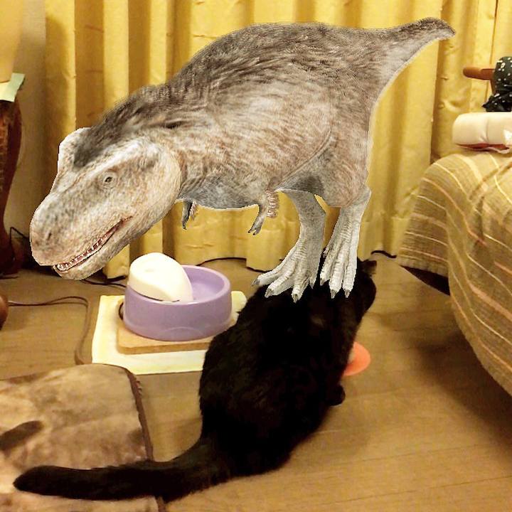 532eeaa6 264e 443a 9d95 ba06358b46ed 1583242602091