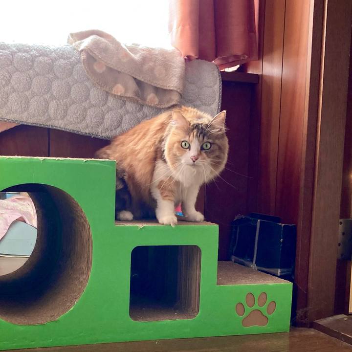 532f1478 d9f6 4f48 980d c7c22710668a 1733891860354