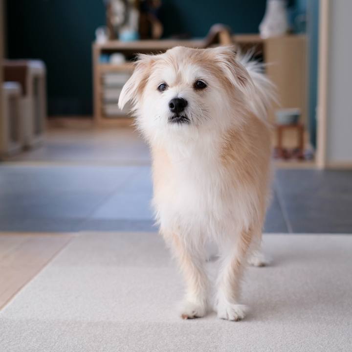 532f3451 693b 49cc 8ce1 bc07cfdd767c 1766011970512