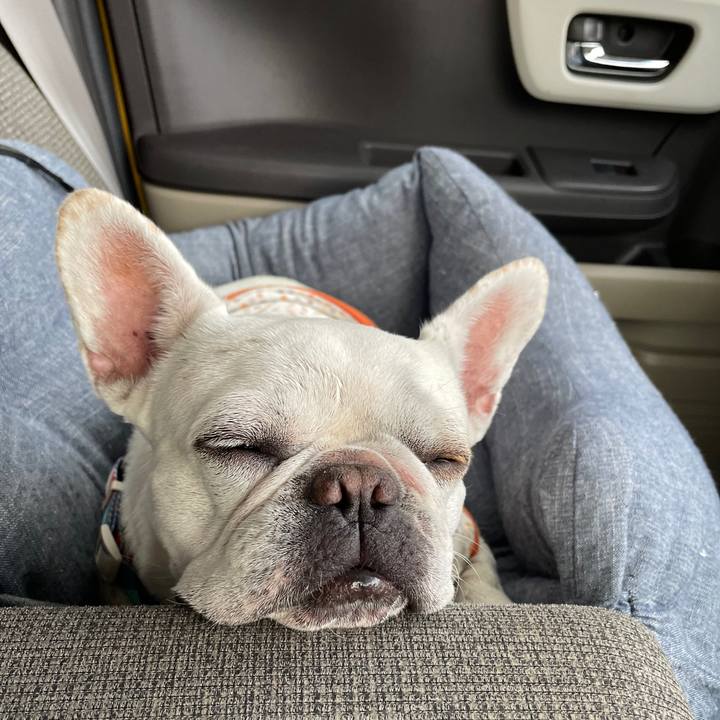 532fb6f7 2221 45f2 8115 348ae22e8283 1730017883426