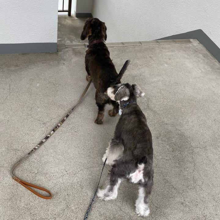 532fbb8d 7621 4c39 b4ba fdf6f64a504a 1569125156135