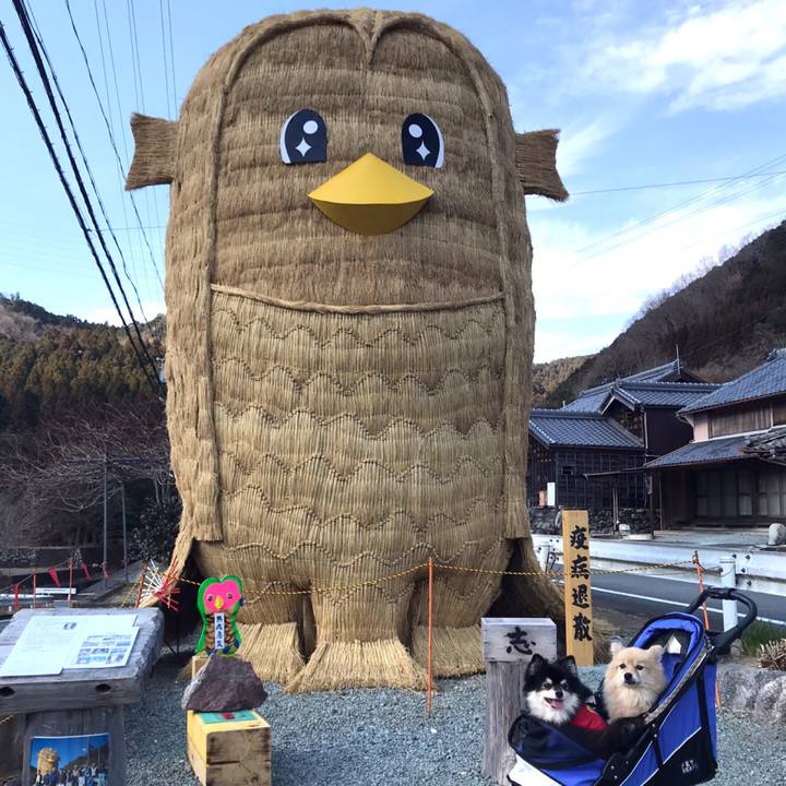 533007d1 e4dd 41d3 80d1 d4acbfa51ba3 1611154221504