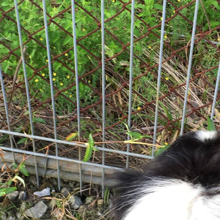 53305258 fc10 48e7 b7ad 696685492384 1535507179858