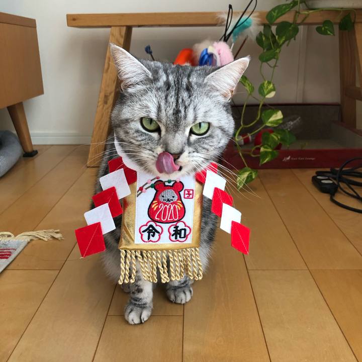 53306c21 2858 4923 ae60 00818d3342db 1577625611808