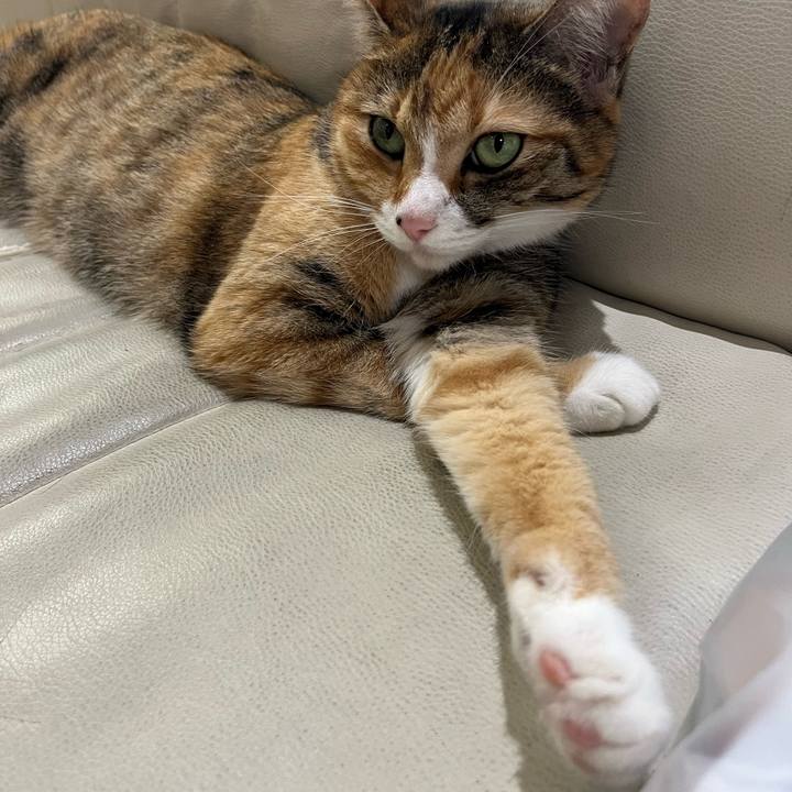 53308df0 befd 4792 b4b1 32dacca42f41 1726666558157