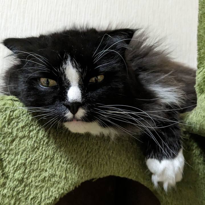 5330ae49 1623 42a8 bab3 cc0273b7762e 1689299504101