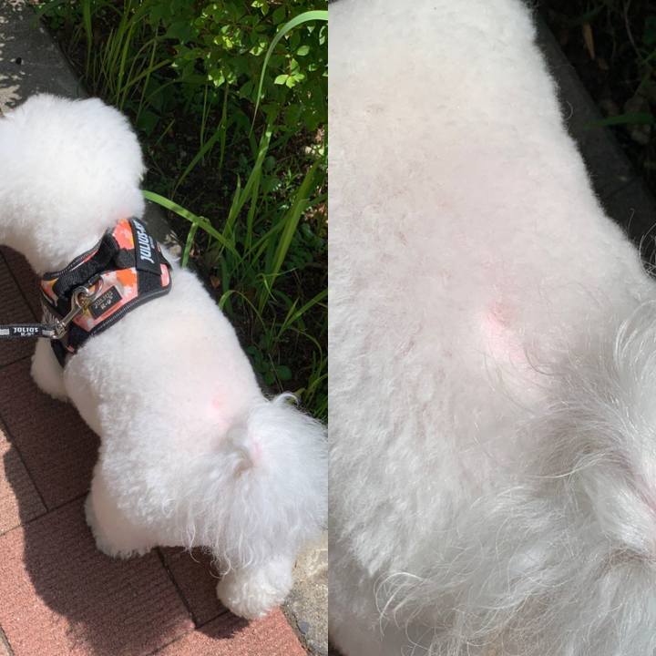 533122c3 782f 48e0 a777 20630fc40c1e 1685154622574