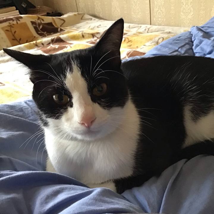 5331327d 197b 48a1 baf6 ba8365757a01 1652067886969