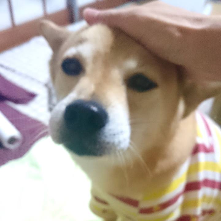 5331473d fdc7 425c a7ba 83b78d036eb4 1617618720609