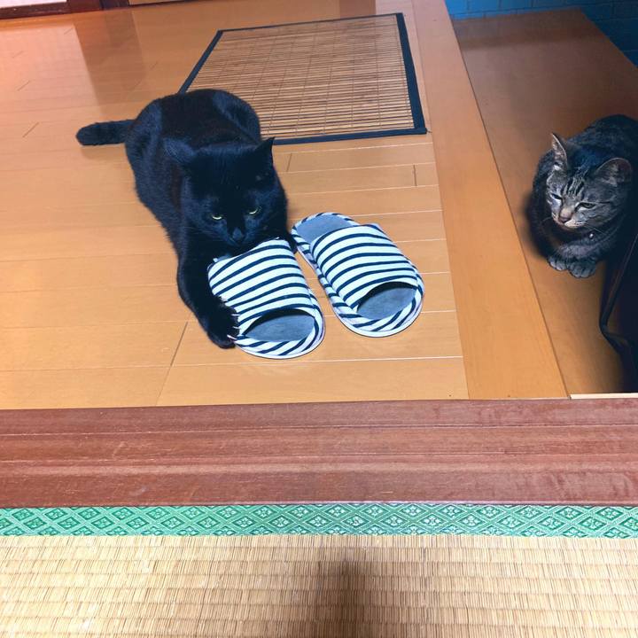 5331489c 2645 43e2 9ada 8884b5496d5b 1560823880980